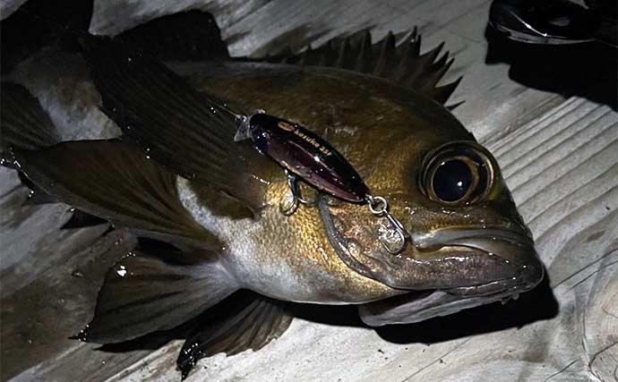 海の陸っぱり釣りで【幸せを感じる瞬間3選】ちょっとした釣り場メシが最高！