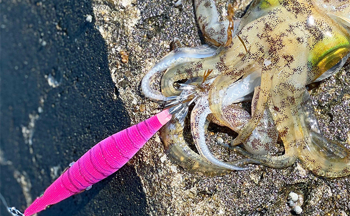 「陸っぱりエギングの釣果は場所で決まる！」イカが釣れる立ち位置の見極め方3選