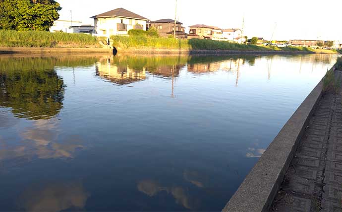 ベイトだらけの小河川でのルアー釣りで良型「カライワシ」手中【千葉】本命シーバスは不発