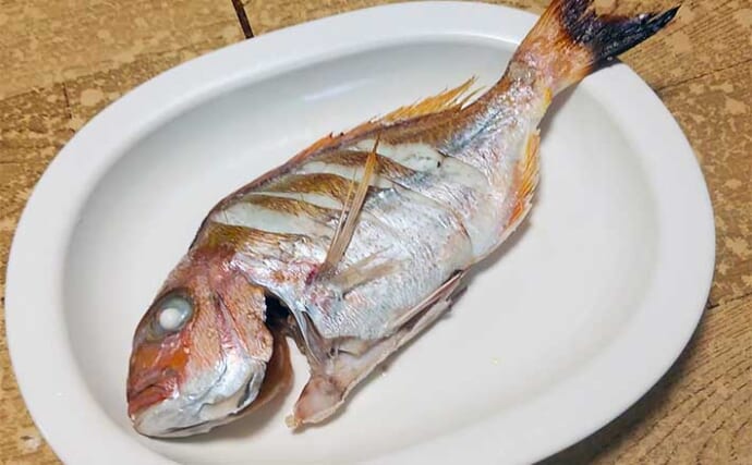 釣魚で作る「秋の味覚」レシピ：紅葉ダイの一夜干し　水分飛ばしてうま味が凝縮