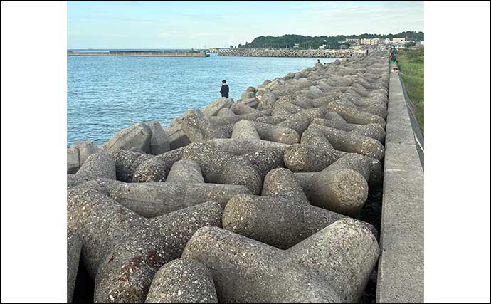 「シーフードミックス」をエサにして穴釣り満喫【深日港・大阪】カサゴにベラにクサフグ