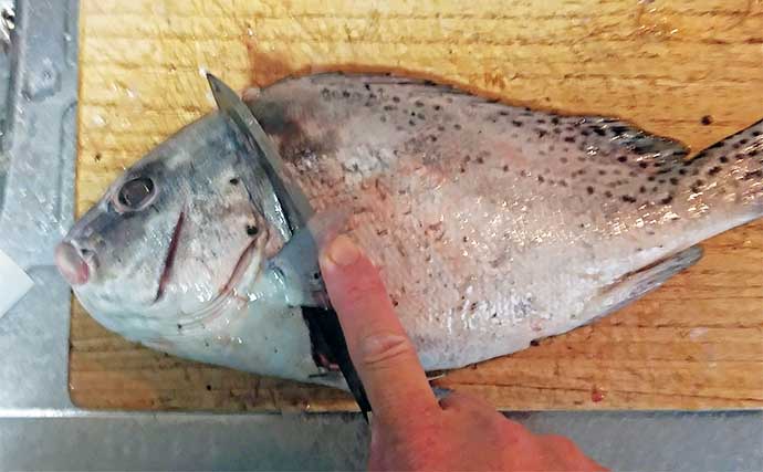 釣りあげた「淡白なサカナ向け」レシピ：コショウダイの漬け　酒の肴にも最高