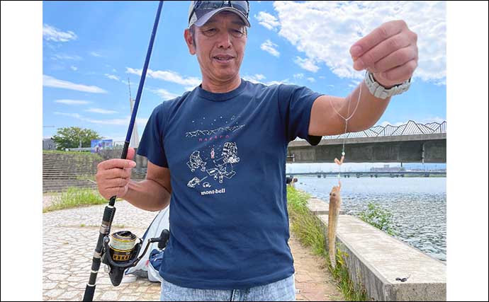 河口域でのちょい投げ釣りでハゼ60匹オーバー【新潟・関川】入れ食いを堪能