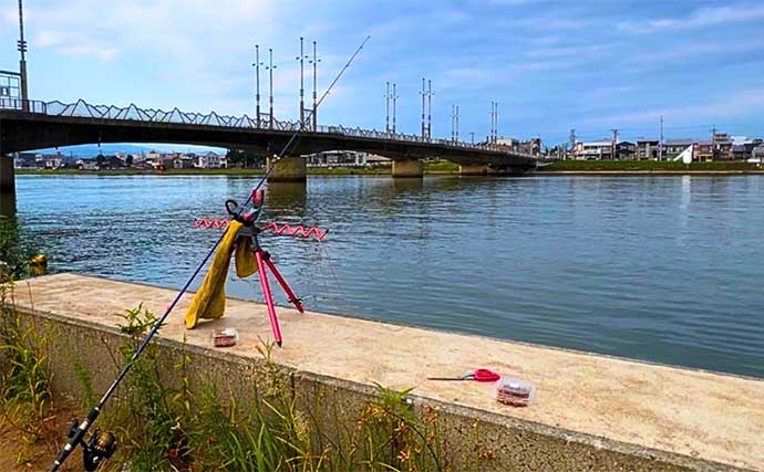 河口域でのちょい投げ釣りでハゼ60匹オーバー【新潟・関川】入れ食いを堪能