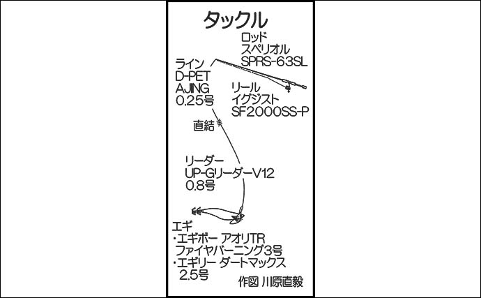 周防大島でエギング＆アジング釣行を満喫【山口】ヤリイカと良型のアジをキャッチ