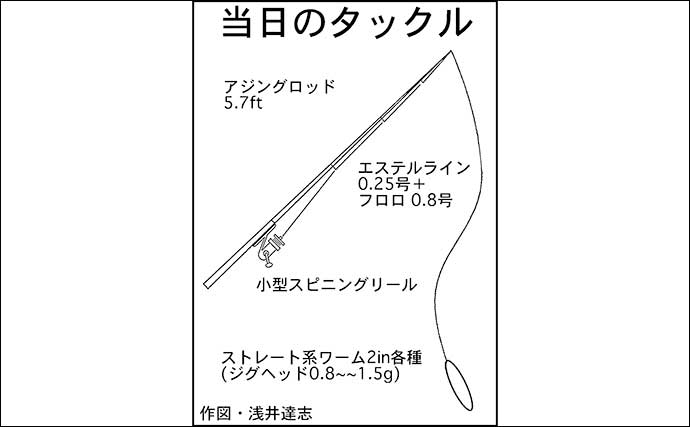 霞ヶ浦ふ頭でのアジングで20cm級頭にアジ連打【三重】サプライズゲストにタチウオ！