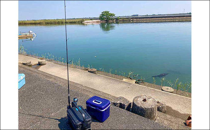 手軽に楽しむ秋のハゼ釣り【三重・赤須賀漁港】ミャク釣りでハゼ10匹キャッチ