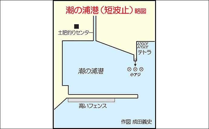 潮の浦港でのサビキ釣りでアジ50尾オーバー【長崎・平戸】簡単セット仕掛けでキャッチ