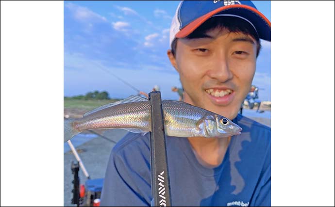 堤防ちょい投げ釣りで25cm大型キス登場【三重・磯津海岸】50mの距離でヒット