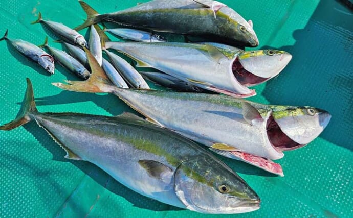 串本のカセ釣りで１メーター超えブリが浮上！【和歌山】ゲストにムロアジも連発