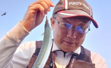 サーフでのサヨリ釣りで28cm頭に本命8匹をキャッチ【三重・吉崎海岸】刺身に舌鼓