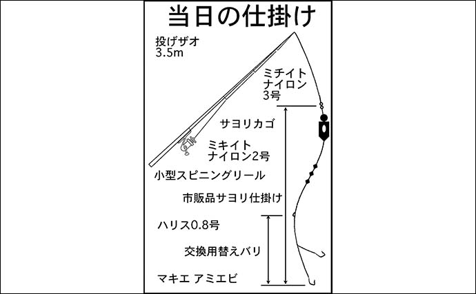 サーフでのサヨリ釣りで28cm頭に本命8匹をキャッチ【三重・吉崎海岸】刺身に舌鼓