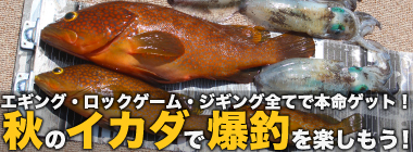 「秋のイカダ釣りが色々釣れて最高！」ルアーフィッシングでイカ・根魚・回遊魚全てキャッチ【福井】