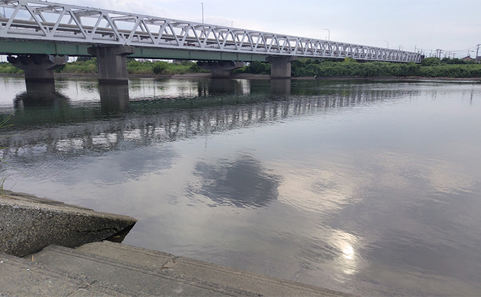 夏の河川での陸っぱりシーバス釣り攻略法　捕食するレンジと流れの有無を意識しよう