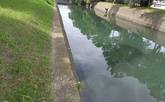 夏の河川での陸っぱりシーバス釣り攻略法　捕食するレンジと流れの有無を意識しよう