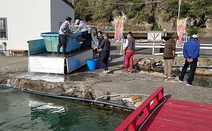 太平洋の絶景を望める海の釣り堀【千葉・鴨川】「太海フラワー磯釣りセンター」でのんびり釣りを満喫しよう