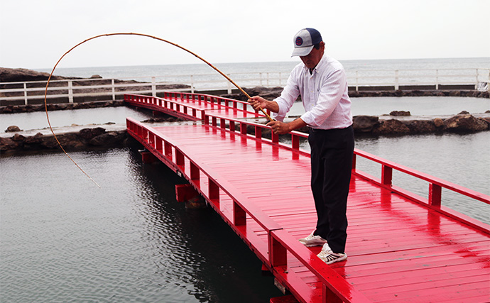 太平洋の絶景を望める海の釣り堀【千葉・鴨川】「太海フラワー磯釣りセンター」でのんびり釣りを満喫しよう