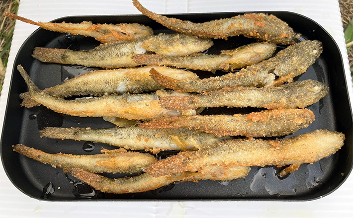 「手軽だけど贅沢アウトドア体験！」釣魚をその場で食べる『ハゼ釣りデイキャンプ』のススメ