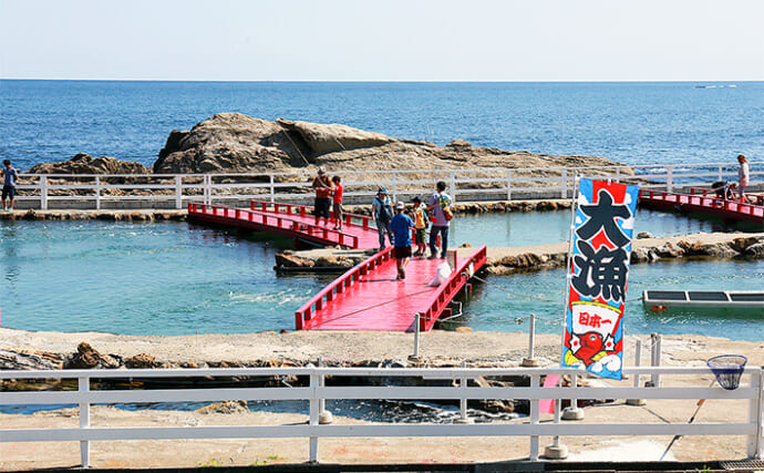 太平洋の絶景を望める海の釣り堀【千葉・鴨川】「太海フラワー磯釣りセンター」でのんびり釣りを満喫しよう