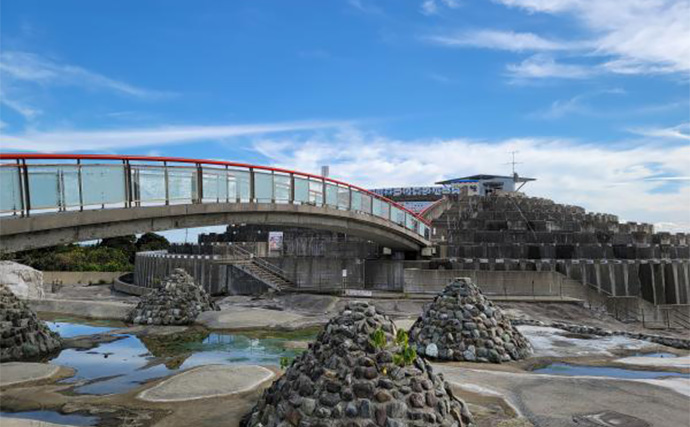 太平洋の絶景を望める海の釣り堀【千葉・鴨川】「太海フラワー磯釣りセンター」でのんびり釣りを満喫しよう