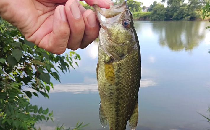 d4e5bf694da13dfd283e564ee0f109