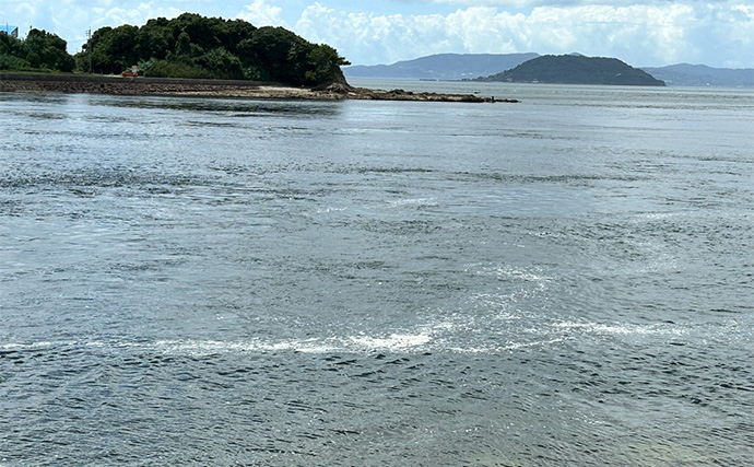 激流ポイントで海釣りをする時のコツを解説　「潮止まり」を狙い撃つべし？