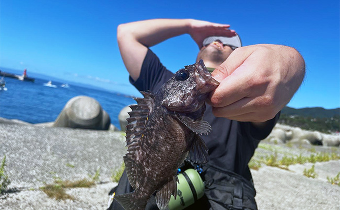 北海道・日本海エリアの堤防ロックゲーム釣行でオウゴンムラソイ　意外な釣り方でヒット？