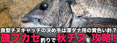 磯フカセ釣りで45cm秋チヌを手中【長崎】深ダナ狙いに特化したイエロー針が的中！