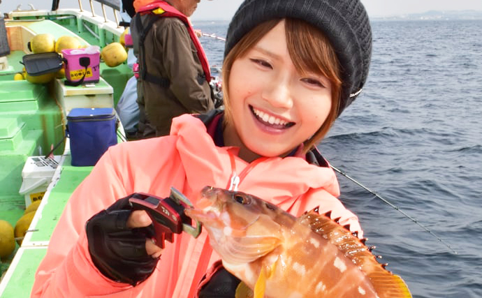 関東の『食わせサビキ（落とし込み）釣り』徹底解説 【釣れる魚・タックル・仕掛け・釣り方】