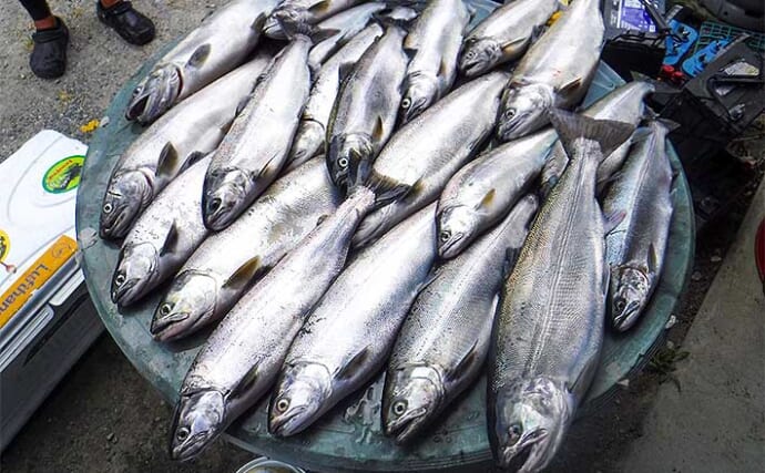 海鮮物が苦手な釣り人でも美味しく食べれた釣り魚4選　琵琶湖の固有種の美味しさにビックリ