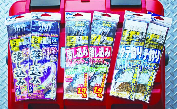 東海・北陸地方のタテ釣り（落とし込み）入門 【エリア・シーズン・釣れる魚・タックル・釣り方を解説】