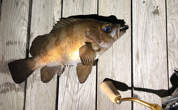 何も釣れなかった「ボウズ」釣行後に【するべきこととしない方が良いこと】