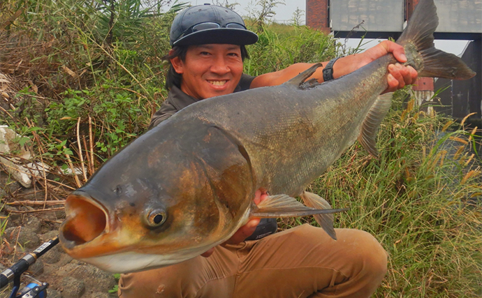 河川のウキ釣りで10kg超えハクレン2尾キャッチ【埼玉・荒川温排水エリア】ゲストにヘラブナも連打