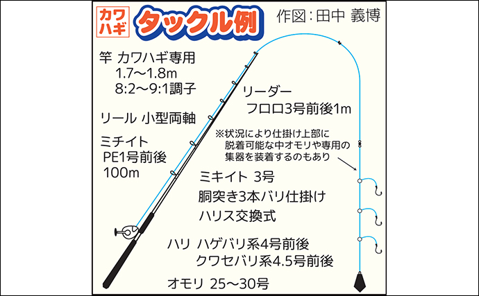 船カワハギ釣り入門 【生態・タックル・仕掛け・エサ・釣り方のキホンを解説】