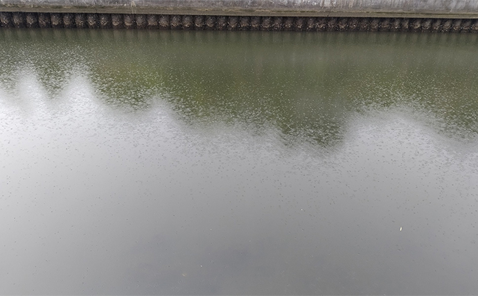 【雨・風・濁りが釣果にもたらす影響とは？】シーバス釣り愛好家が外的条件について考察