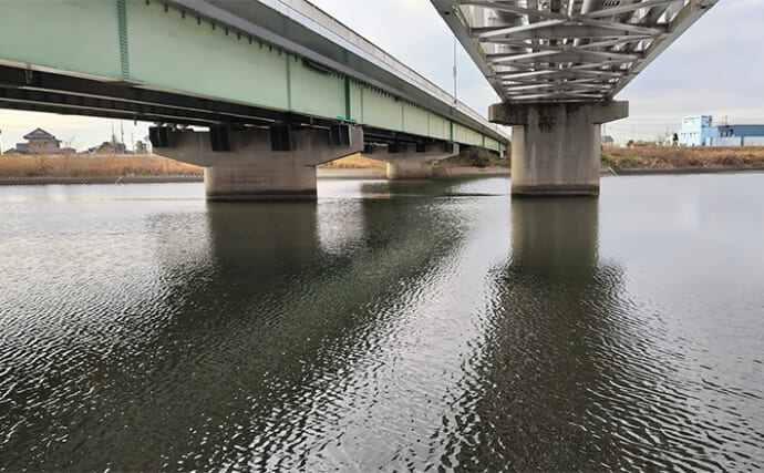 【雨・風・濁りが釣果にもたらす影響とは？】シーバス釣り愛好家が外的条件について考察