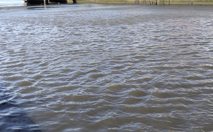 【雨・風・濁りが釣果にもたらす影響とは？】シーバス釣り愛好家が外的条件について考察