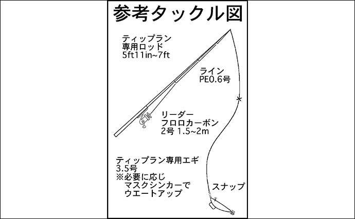 ティップランエギング入門解説　【タックル・エギ・釣り方・イカの持ち帰り方を解説】