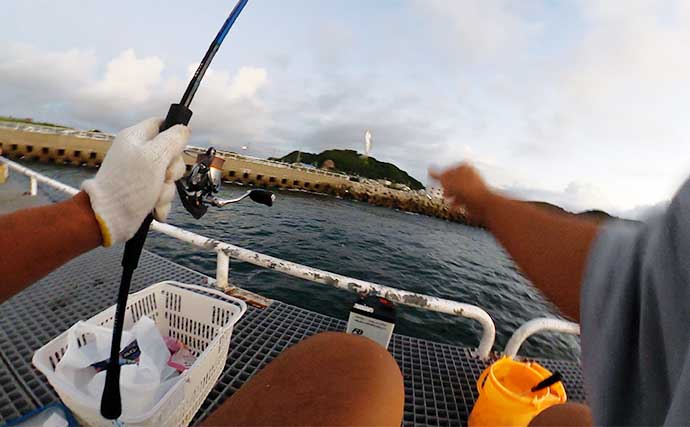 豊浜釣り桟橋でのサビキ釣りで20cm級アジを好捕【愛知】握り寿司にして堪能