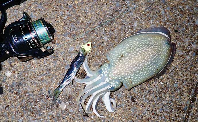 霞ヶ浦ふ頭でのタチウオテンヤ釣りで本命を連打！【三重】足元でシシャモエサにヒット