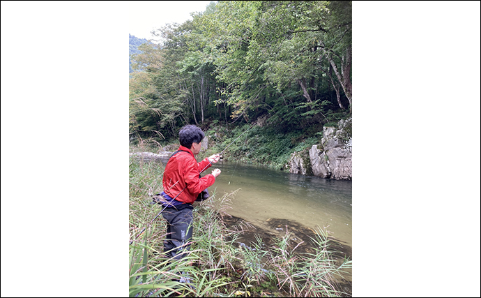 禁漁直前の南会津渓流釣行でウグイやヤマメに加えて天然イワナをキャッチ【福島】