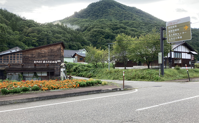 禁漁直前の南会津渓流釣行でウグイやヤマメに加えて天然イワナをキャッチ【福島】