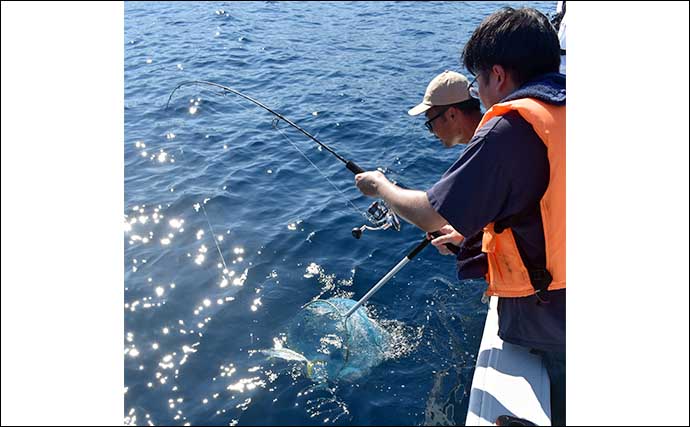 鷹巣沖の青物ジギングが開幕【福井・鷹王丸】ヒラマサにハマチが好ヒット