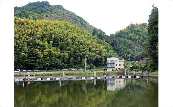 今週のヘラブナ推薦釣り場2024【静岡・鯨ヶ池】