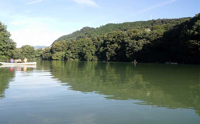 相模湖ワカサギ釣り入門解説【神奈川】15cm超えの特大サイズも狙える！