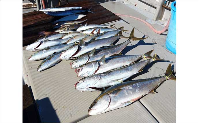 【沖釣り釣果速報】平戸沖ジギング・キャスティングでヒラマサ狙い目！（長崎・佐賀）