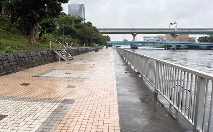 初の東京湾ヘチ（落とし込み）釣りでクロダイ4枚【潮見運動公園】1投目からアタリ到来！