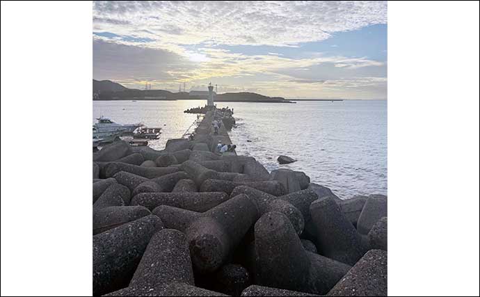 大阪湾の人気釣り場『深日港』を紹介　遠浅の地形ゆえルアーウェイトにはご注意を