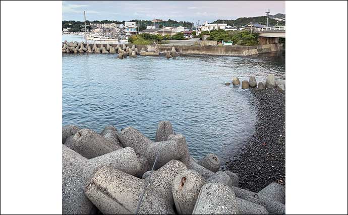 大阪湾の人気釣り場『深日港』を紹介　遠浅の地形ゆえルアーウェイトにはご注意を