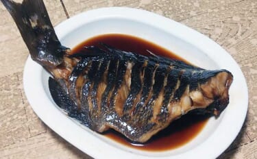 釣魚で作る「ご飯が進む」レシピ：オナガのこってり煮　濃厚なタレが決め手